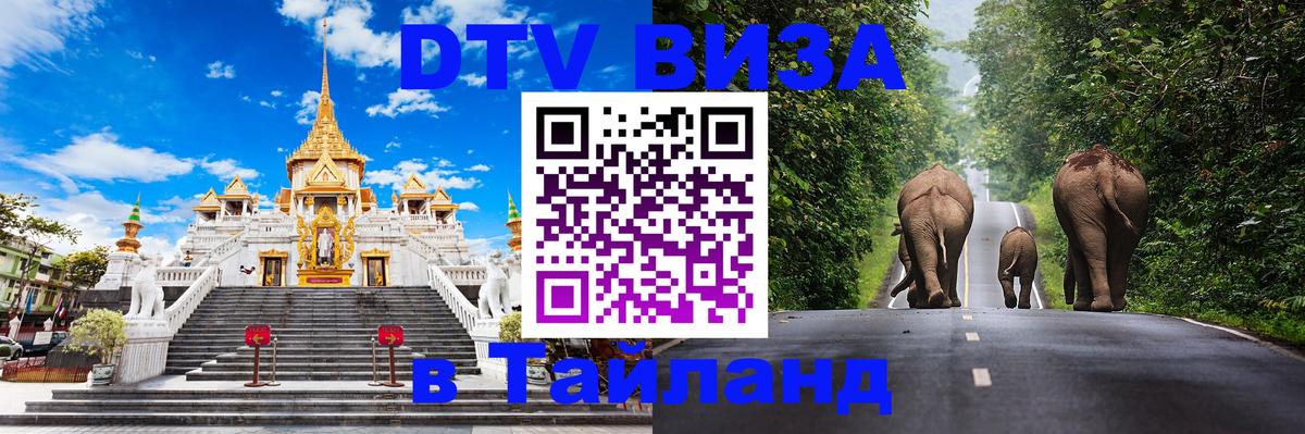 Оформление DTV визы под ключ: стоимость и тарифы, только загранпаспорт - Варшава  04.10.2025 